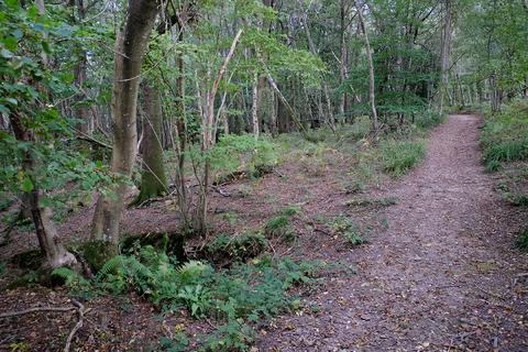undefined, Forest Lane, Heathfield TN21