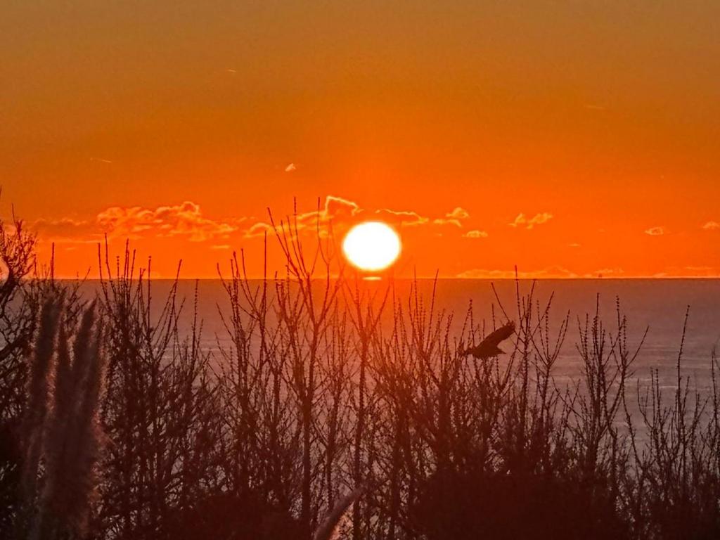 Sunrise from the Terrace