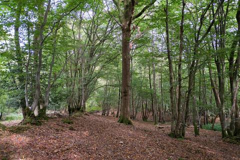 Greenwoods Lane, Heathfield TN21