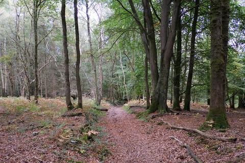 undefined, Greenwoods Lane, Heathfield TN21