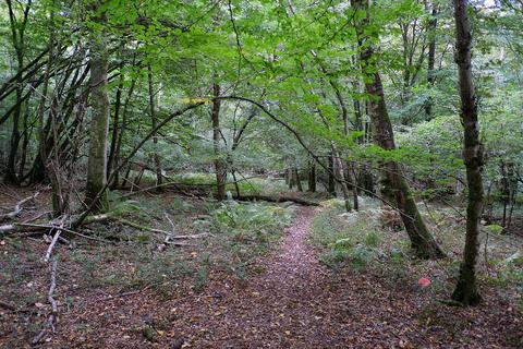 undefined, Greenwoods Lane, Heathfield TN21