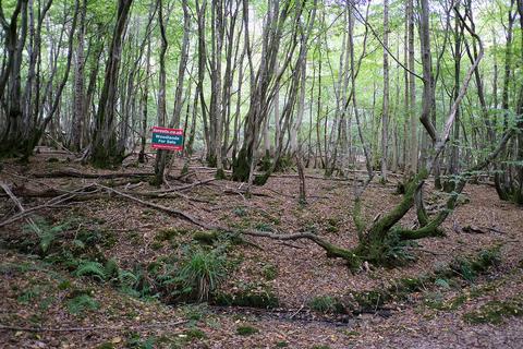 undefined, Greenwoods Lane, Heathfield TN21