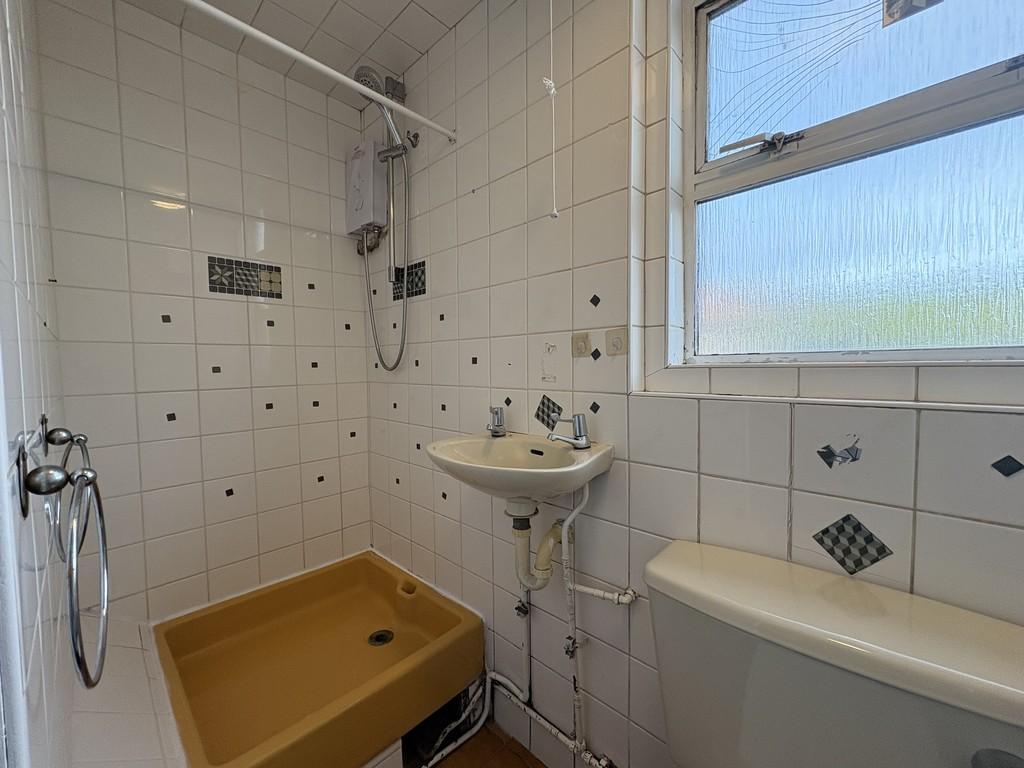 Img 1729