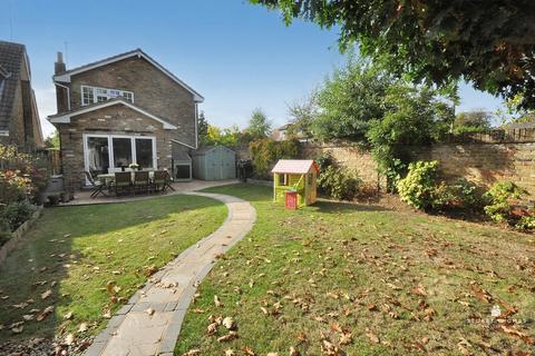 undefined, Conifers, Hadleigh