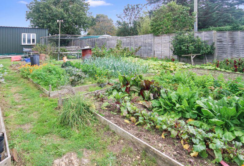 Vegetable garden
