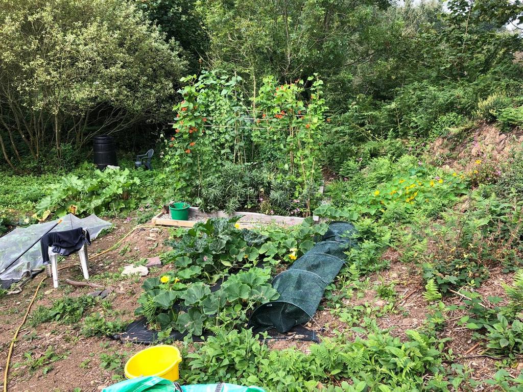 PHOTO-2025-10-07-16-17-55 (3).jpg