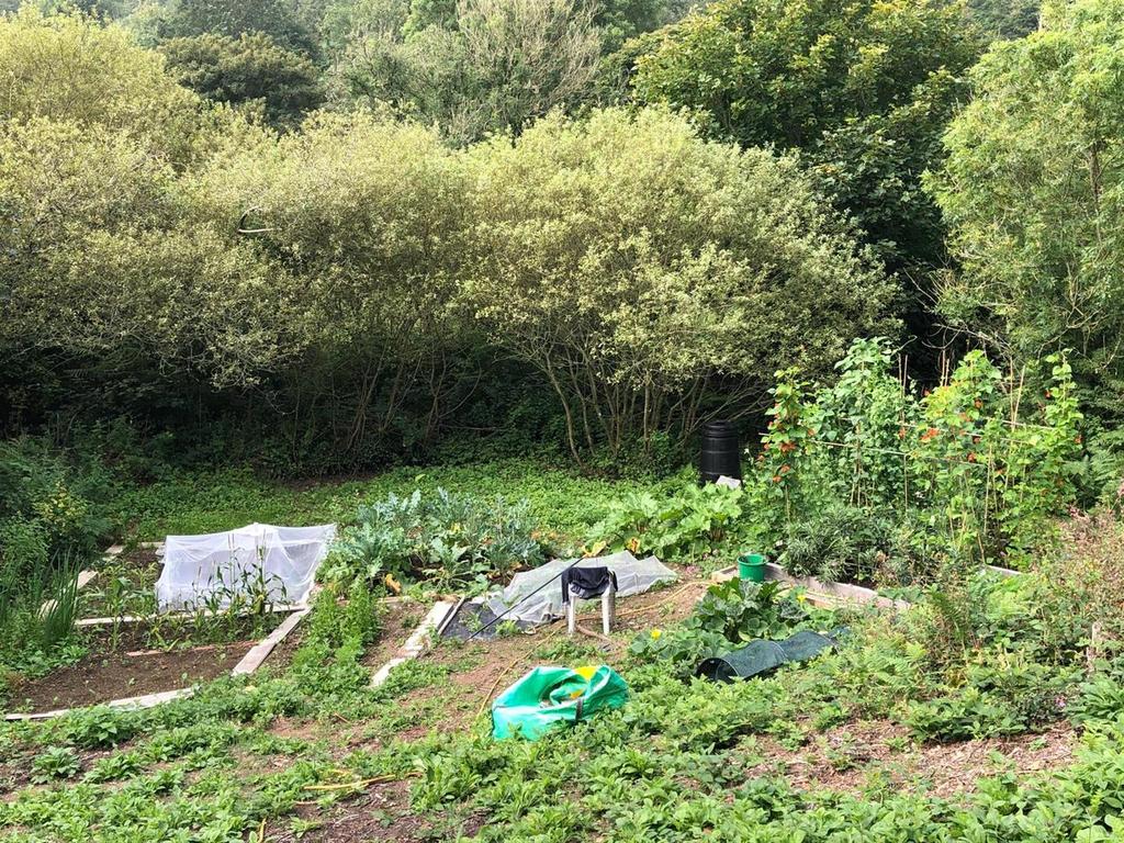 PHOTO-2025-10-07-16-17-55 (2).jpg