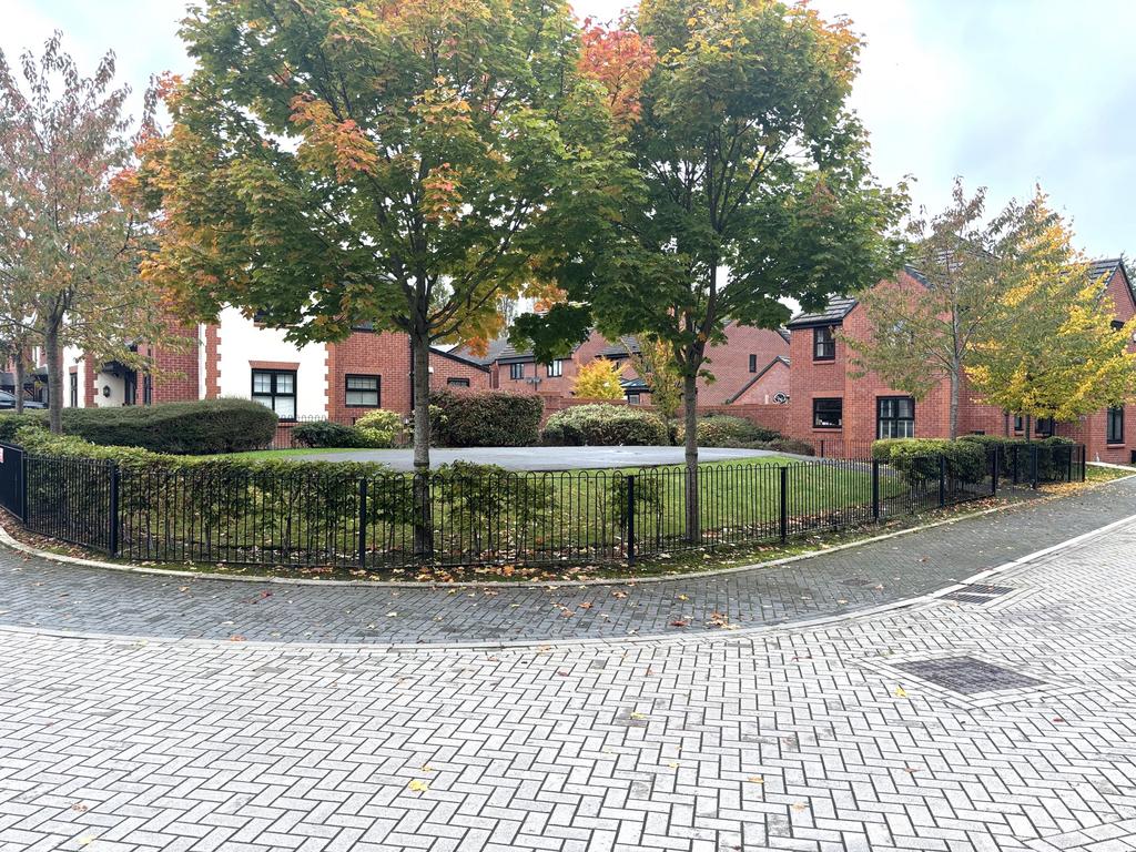 IMG 9039.jpg