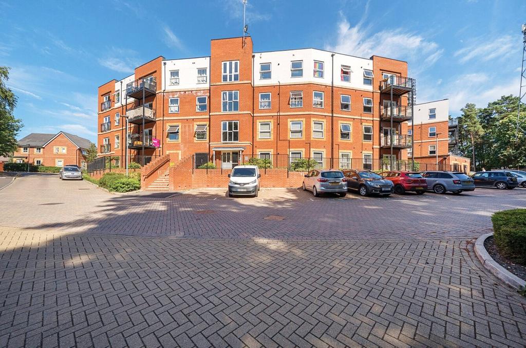 1311962 6 6865530...