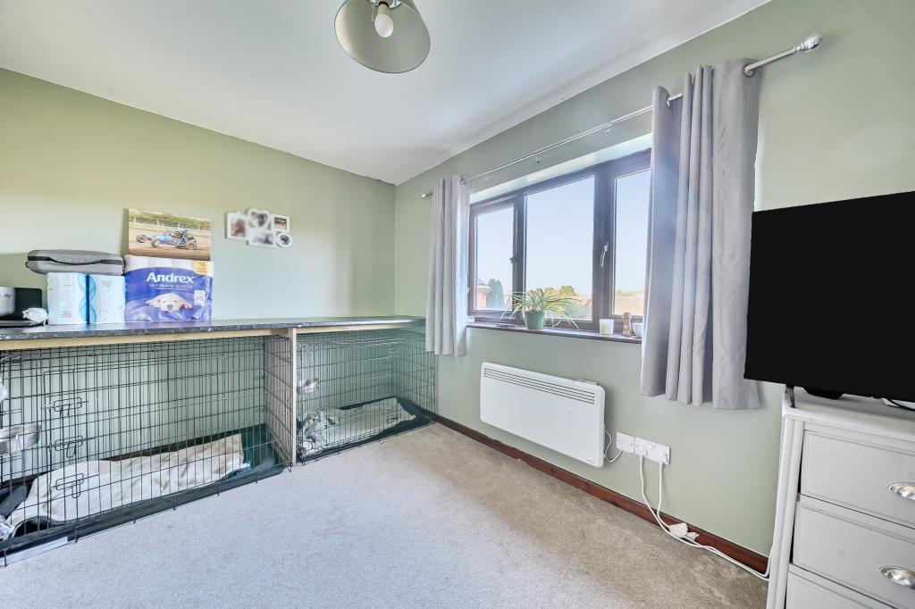 Photos
