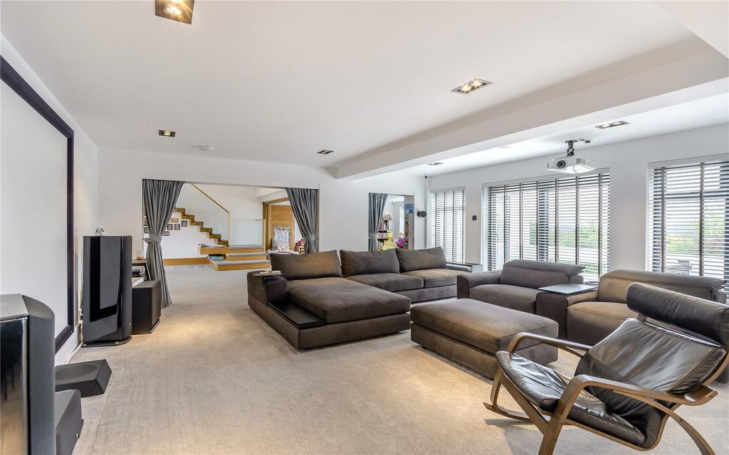 Cinema / Family Room