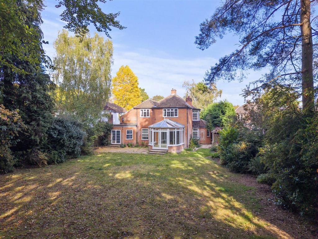 DJI 20251011142557 0160 D.jpg