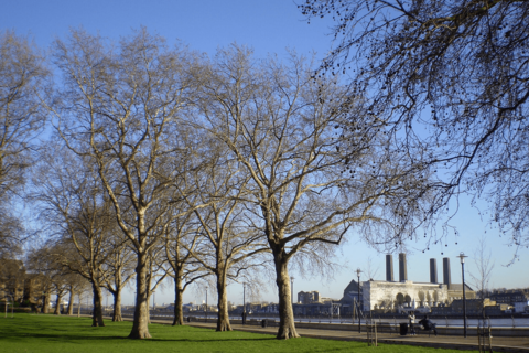 House share to rent, Lockesfield Place, London, E14