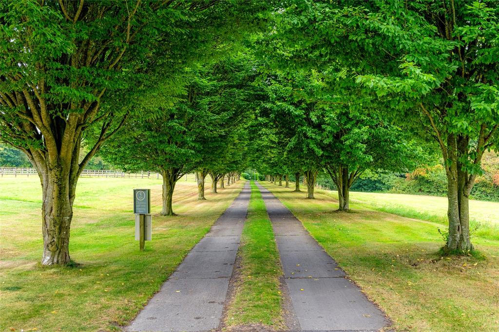 Driveway