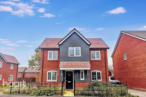 undefined, Brood Chase, Colchester