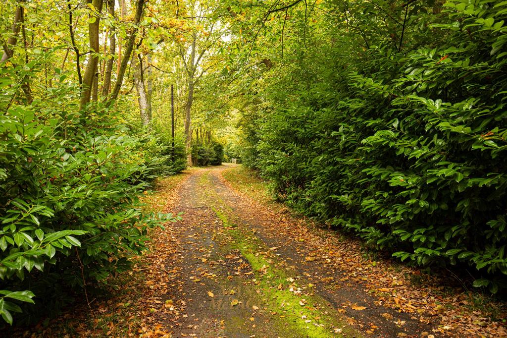 Private lane