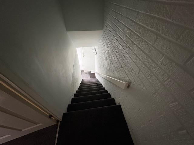 IMG 5995.jpg