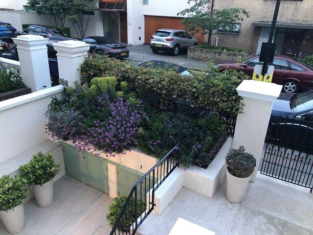 Front Garden