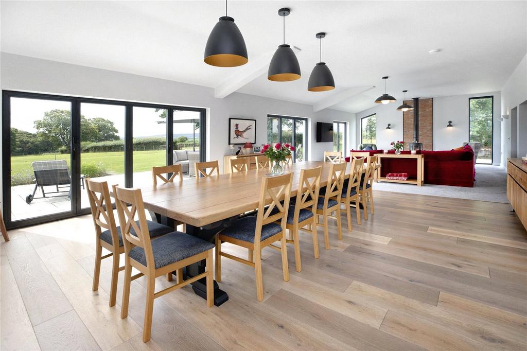 Living/Dining Area