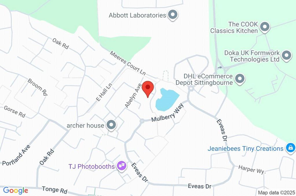 Google Maps Image