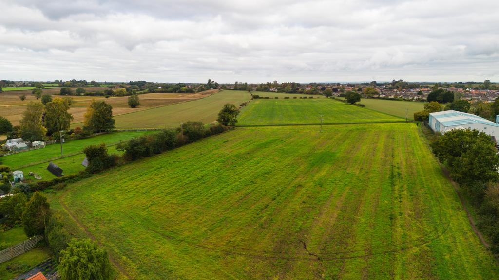 Sunnydene6