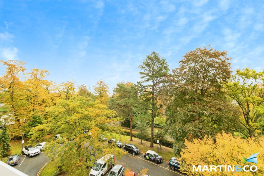 Picture11