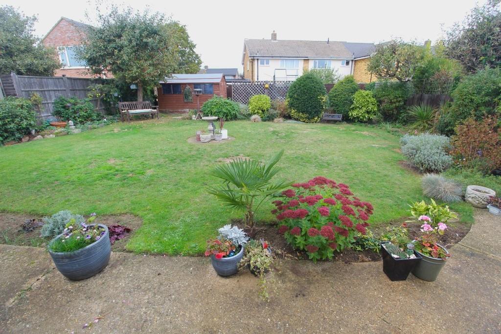 Garden 3