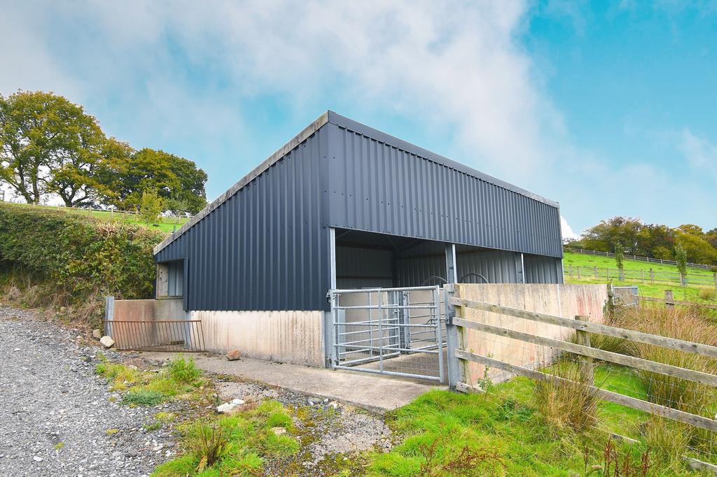 Shed