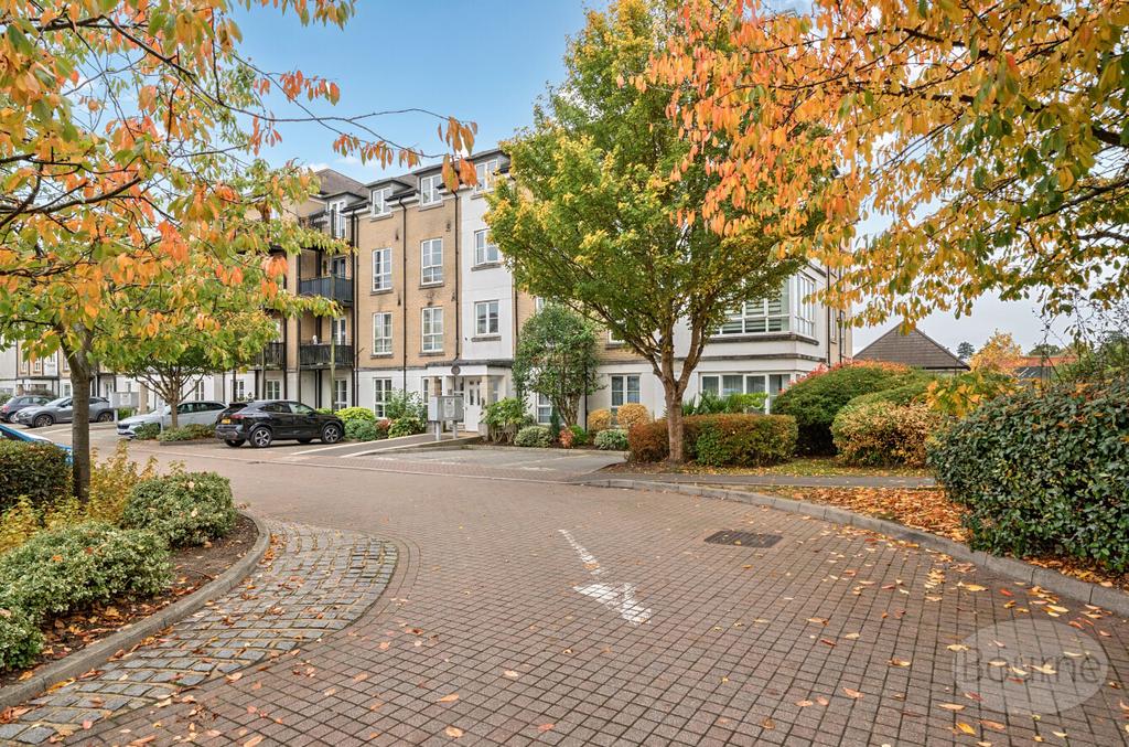 Picture 18