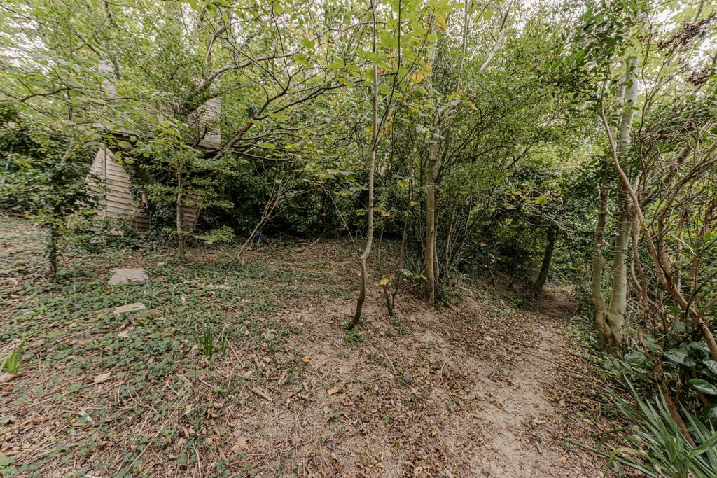 Woodland
