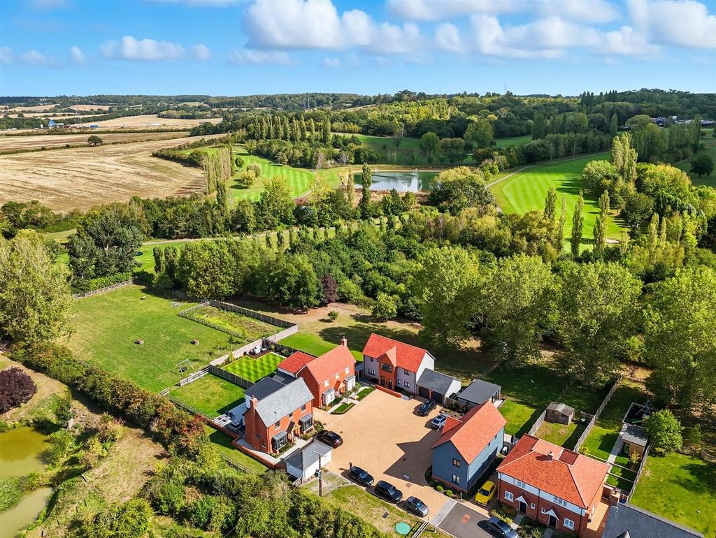 Theydon Meadows