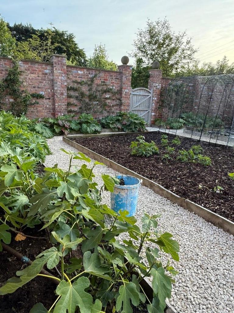 Walled Garden.jpeg
