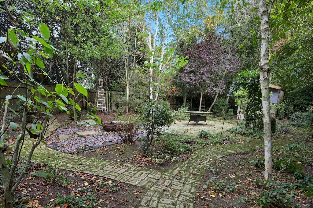Woodland Area