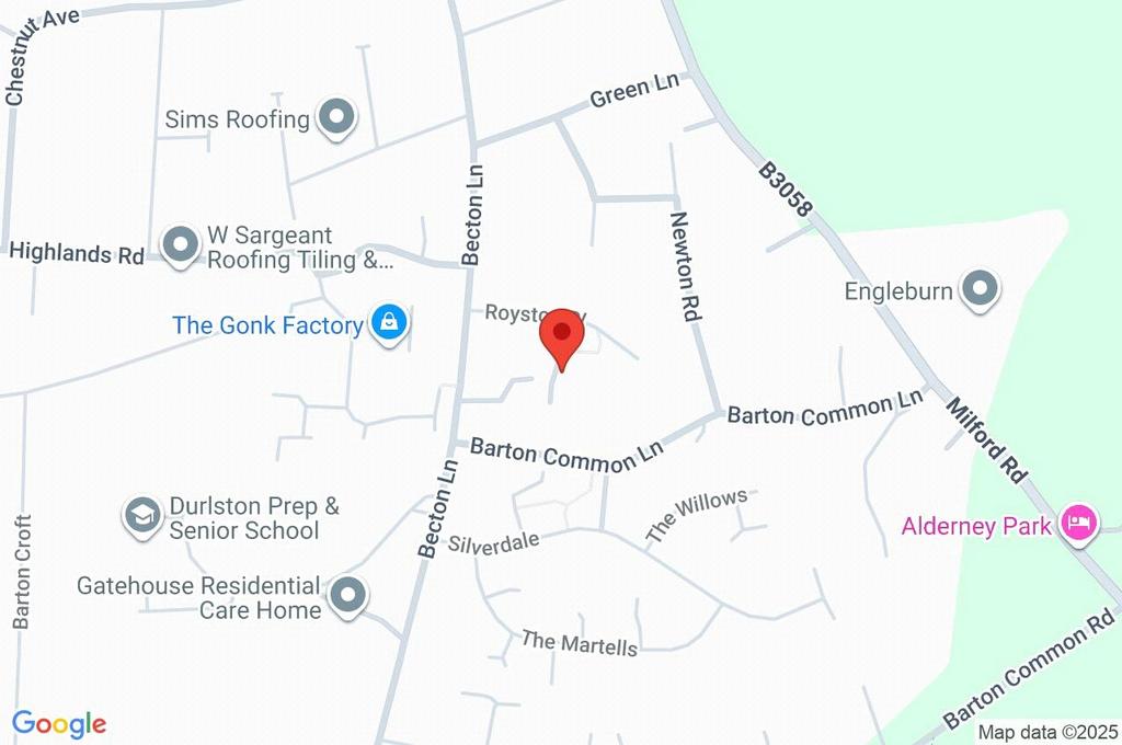 Google Maps Image