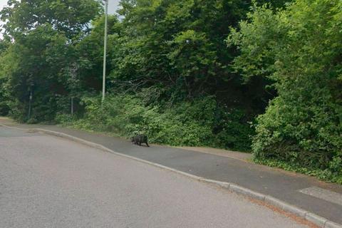 undefined, at Beech Avenue, Chartham, Kent CT4