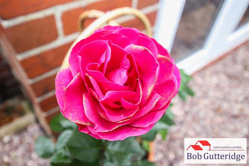 Tlc ad36a84e-5920-405c-8da7-c6595aa1b912 9372f48.j