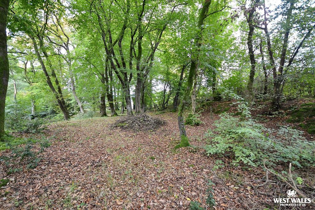 Woodland