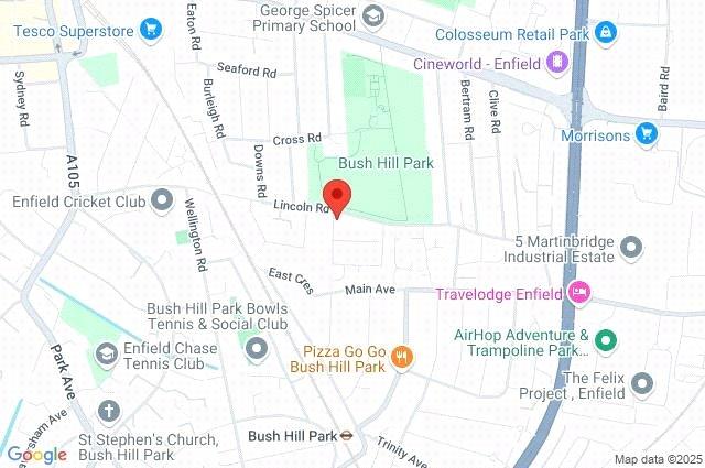 Google Maps Image