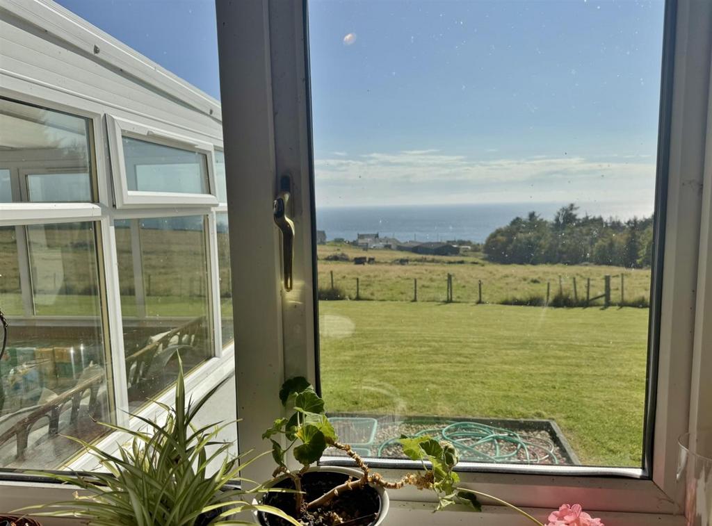 Kitchen view