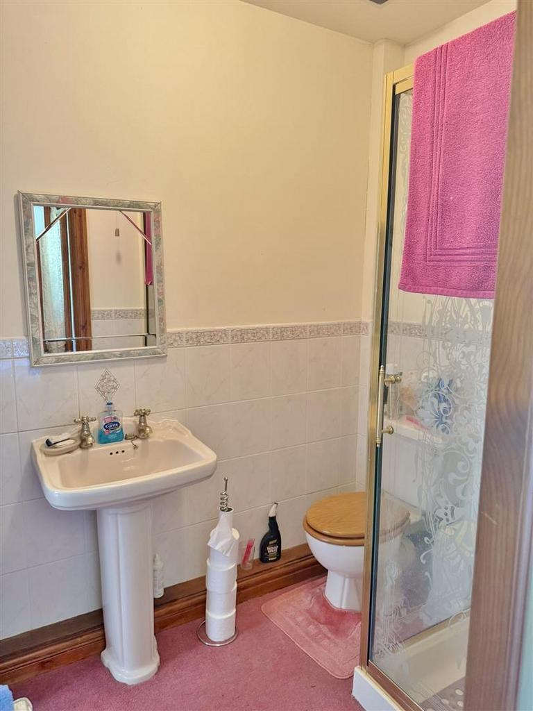 Jack and Jill shower room