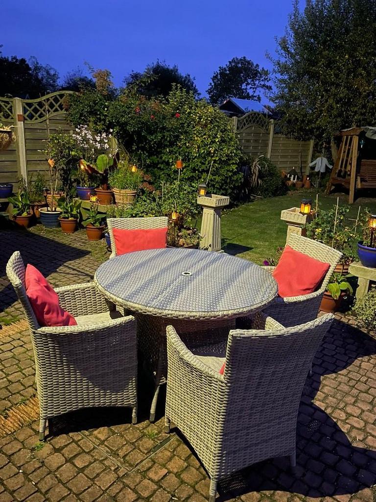 Nightime Garden 1.jpeg