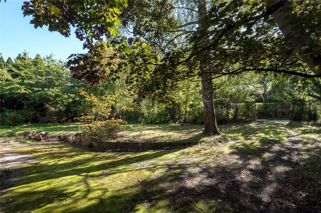 Grounds