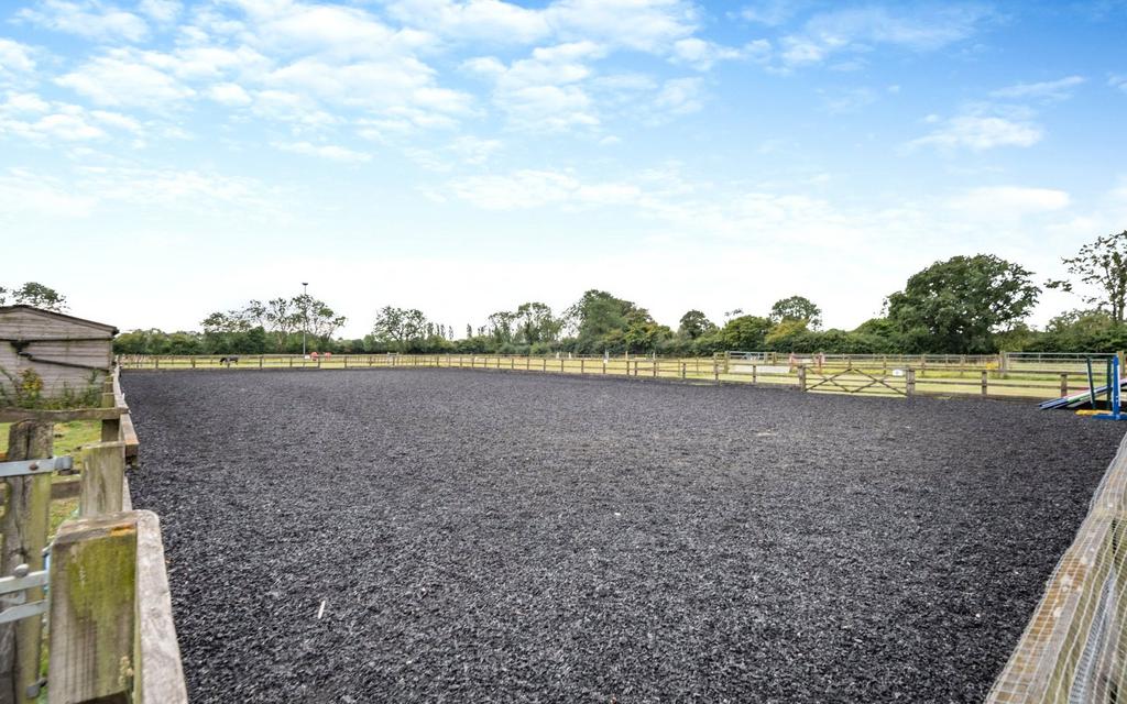 Equine