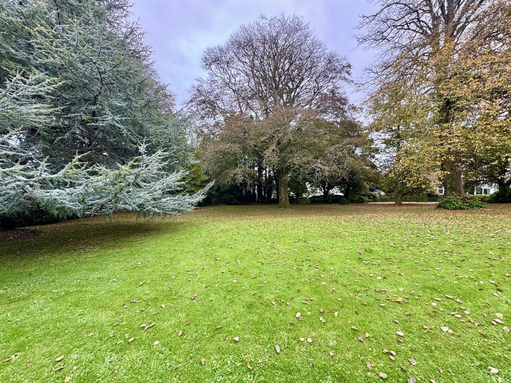 Communal Grounds