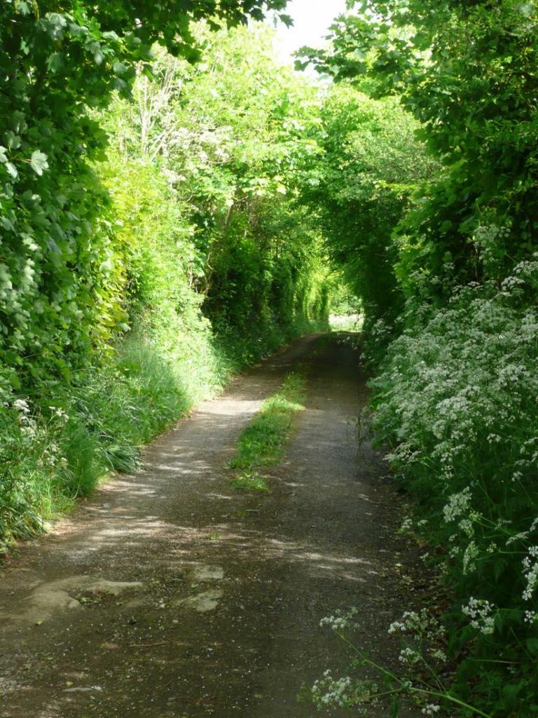 Rackenford Seddons