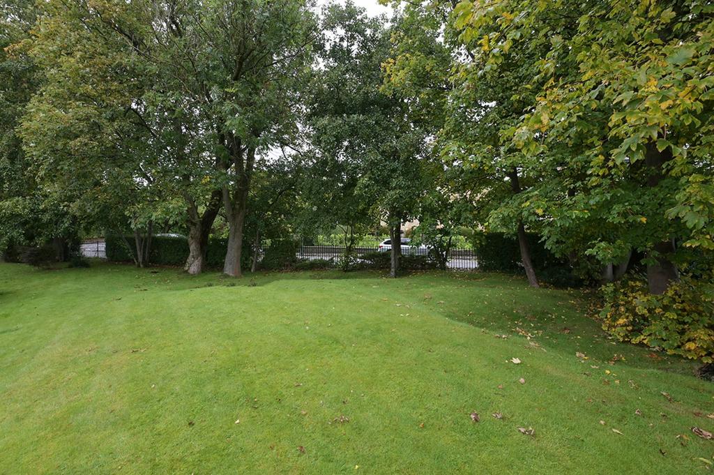 MFL6240357 199.jpg
