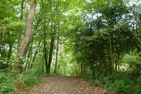 Woodland for sale, Baynards Wood, near Rudgwick, Surrey RH12