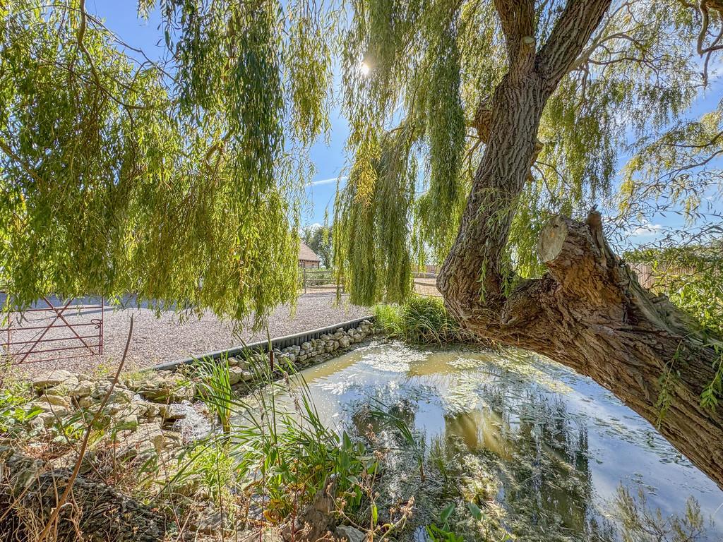 Front pond