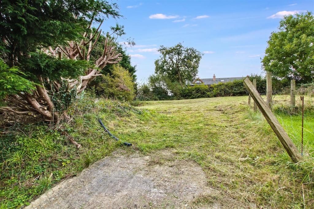 Back garden