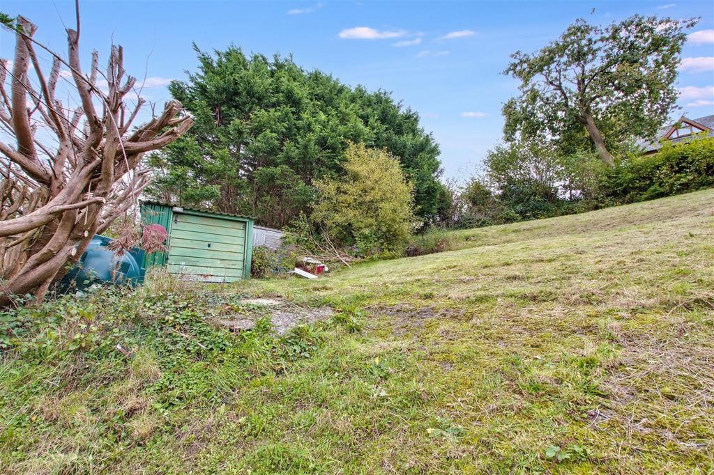 Back garden